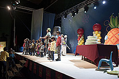 Espectaculos infantiles Dia de Navarra 2009