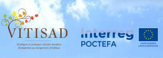 Proyecto Vitisad
