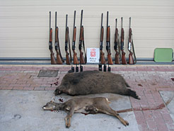 Armas y animales decomisados en la batida de Oroz-Betelu