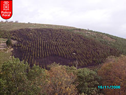 Incendio en Narbarte